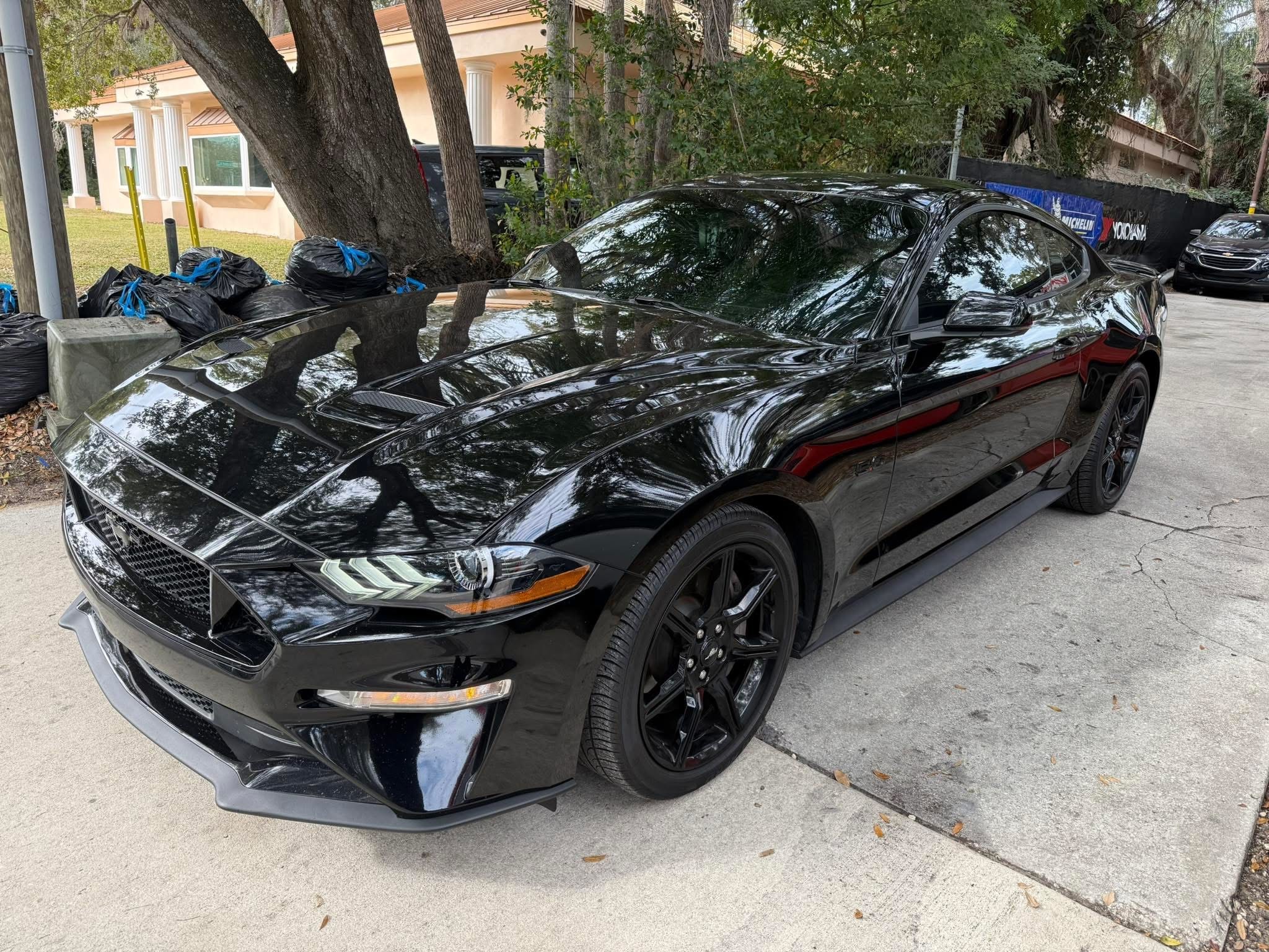 Black Ford Mustang Tint