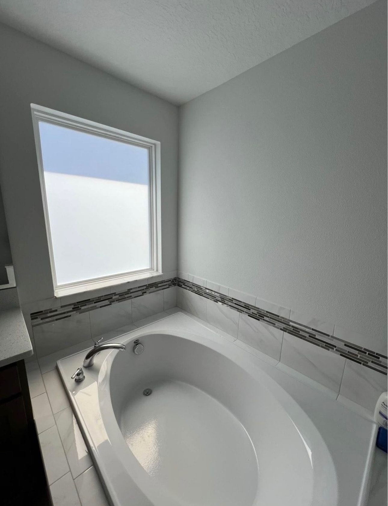 Bathroom Privacy Tint